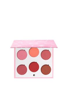 Charm Your Cheeks Palette