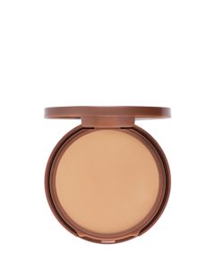 Water Resistant Protective Powder SPF25 - Fair Ivory - 500A    
