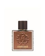 عطر دييب ديزاير رجالي 100مل