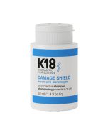 Damage Shield Protective Shampoo 53ml
